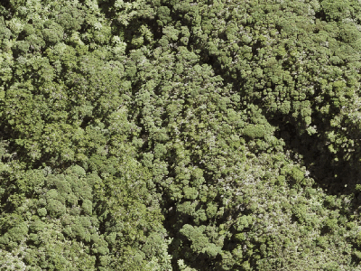 Open Space  Conservation Zone