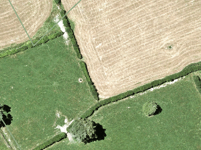Rural  Rural Production Zone