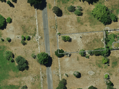 Specific Purpose (Flat Land Recovery)