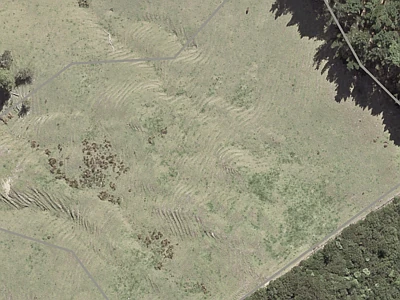 Rural  Rural Production Zone