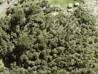 Rural  Rural Coastal Zone