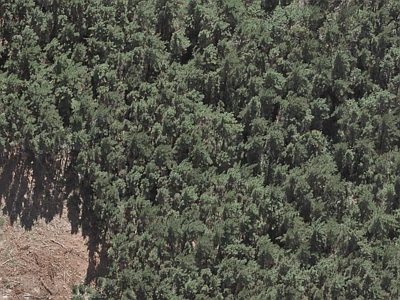 Rural  Rural Production Zone