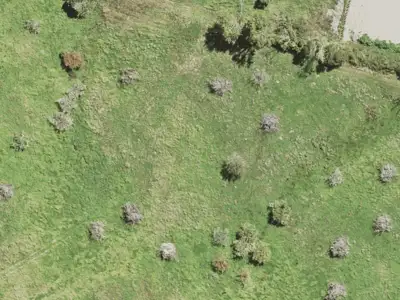 Rural  Waitakere Foothills Zone