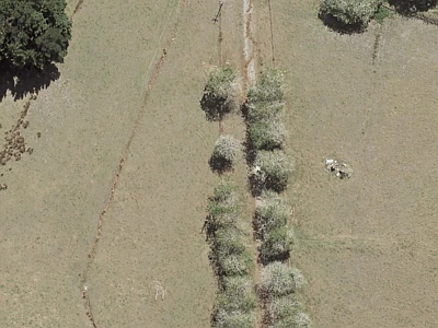 Rural  Rural Coastal Zone