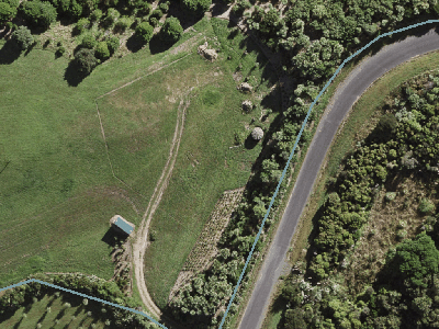 Hauraki Gulf Islands