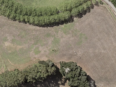 Rural  Rural Production Zone