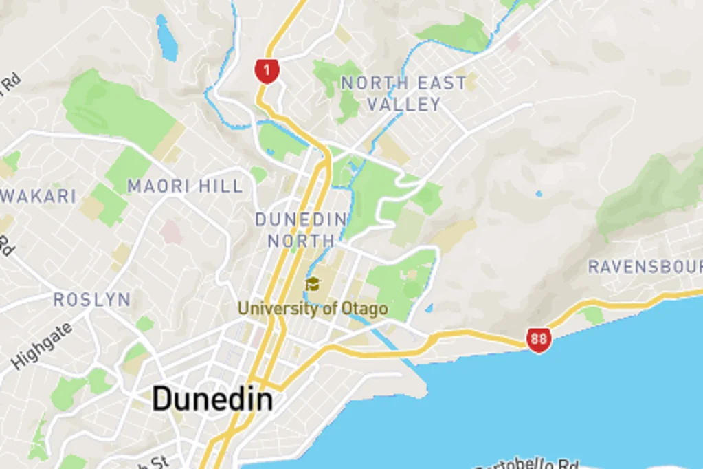 North Dunedin