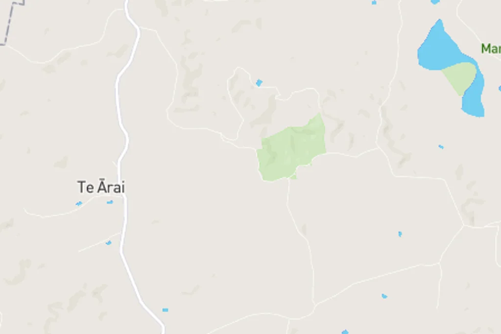 Te Arai