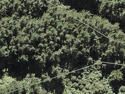 Rural  Waitakere Foothills Zone