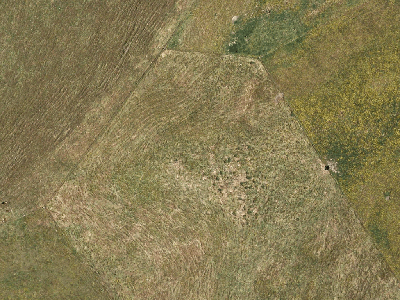 Rural  Rural Coastal Zone