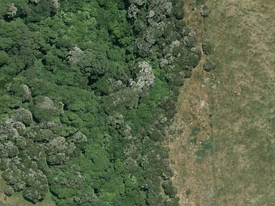 Open Space Natural