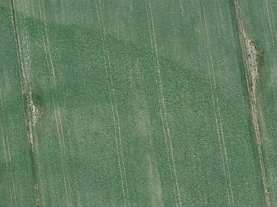 Rural B