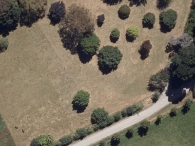 Rural B