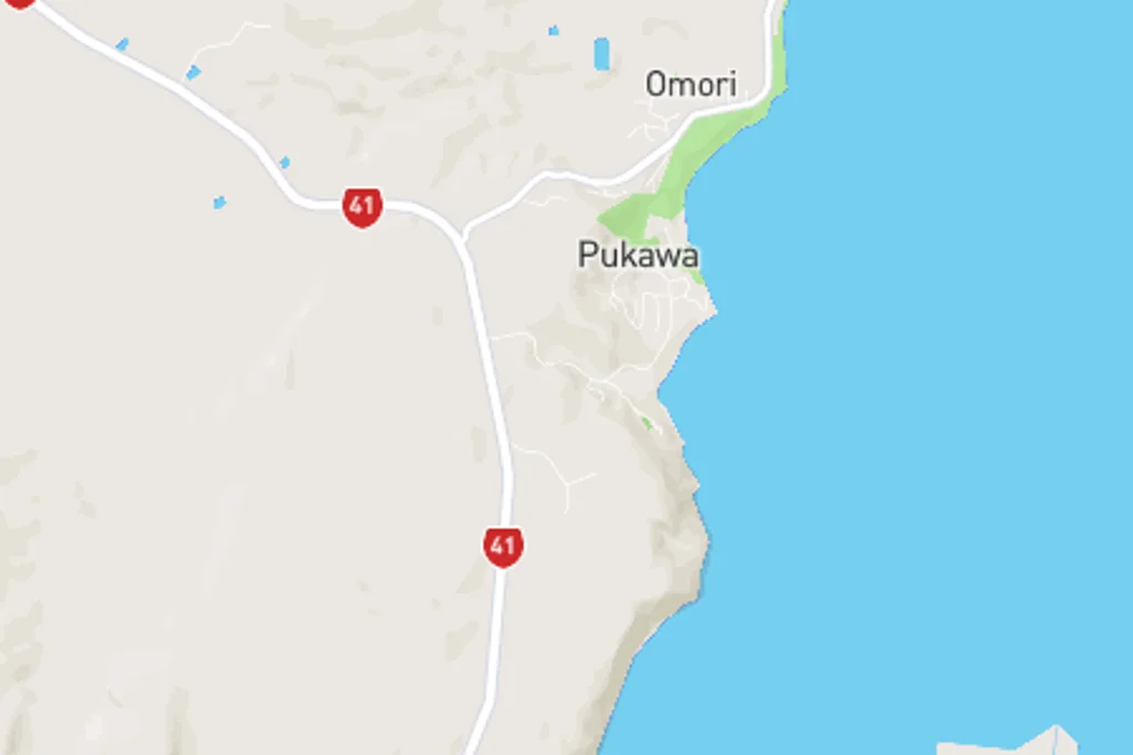 Pukawa