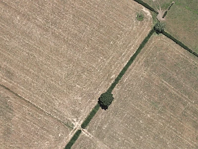 Rural  Rural Production Zone