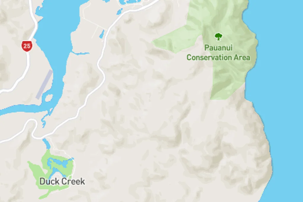 Pauanui