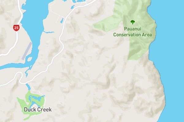 Pauanui