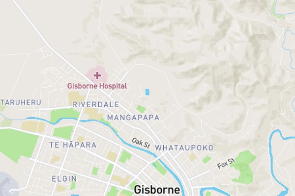Mangapapa