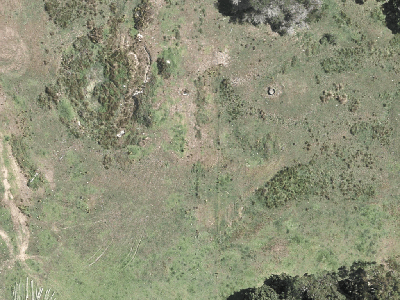 Rural  Rural Coastal Zone