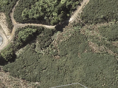 Rural  Rural Production Zone