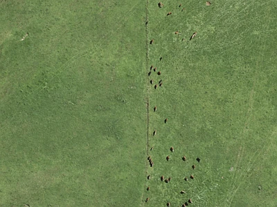 Rural  Countryside Living Zone