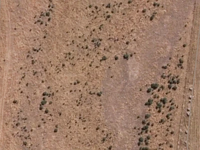 Outer Plains