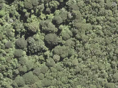 Open Space  Conservation Zone