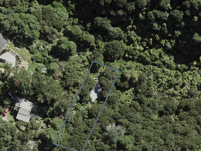 Hauraki Gulf Islands