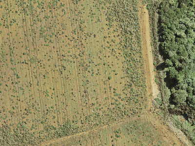 Rural  Mixed Rural Zone