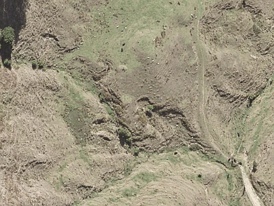 Rural  Rural Production Zone
