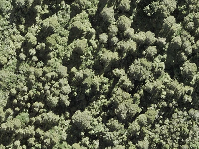 Open Space  Conservation Zone