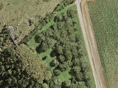 Rural  Rural Production Zone
