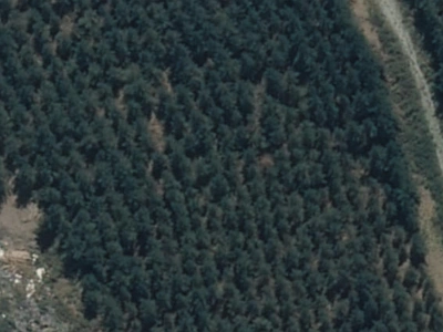 Outer Plains