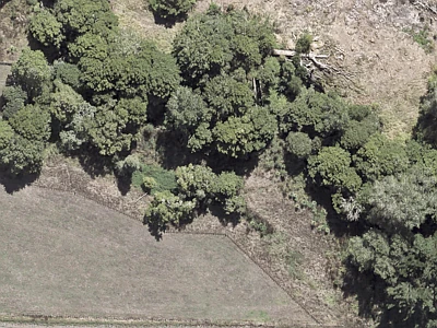 Rural  Rural Production Zone
