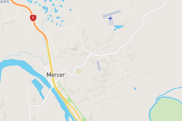 Mercer
