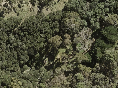 Hauraki Gulf Islands