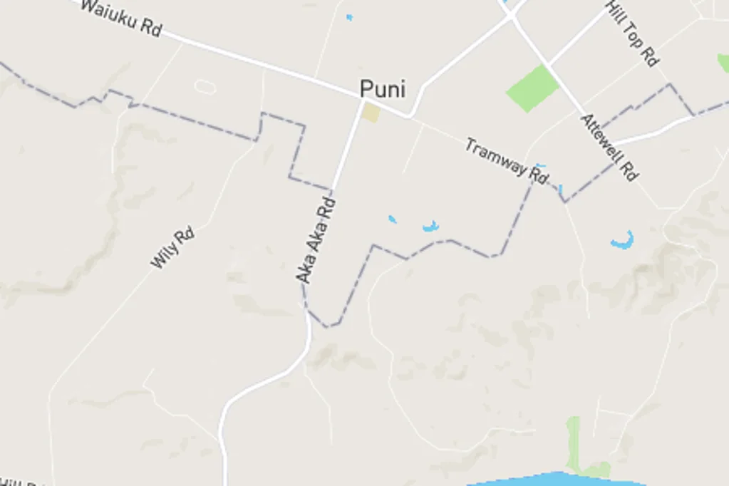 Puni