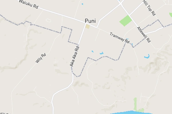 Puni