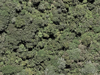 Open Space  Conservation Zone