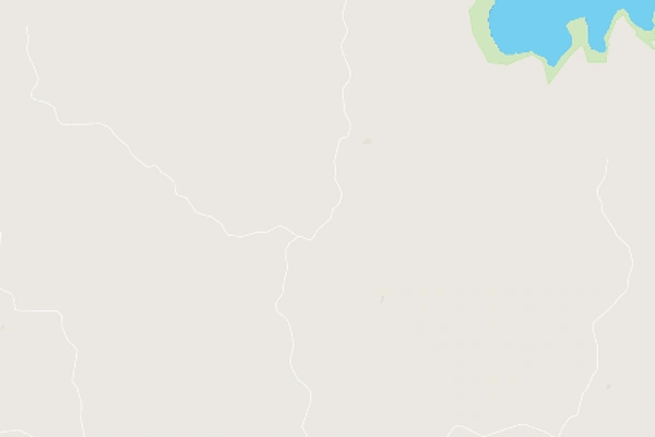 Rotongaro