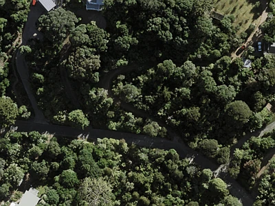 Hauraki Gulf Islands