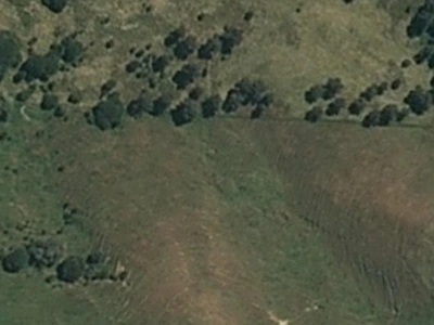 Hauraki Gulf Islands
