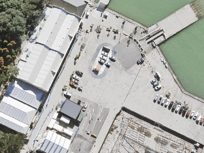 Business  Mixed Use Zone