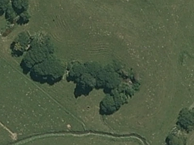Rural  Rural Production Zone
