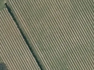 Rural  Rural Production Zone