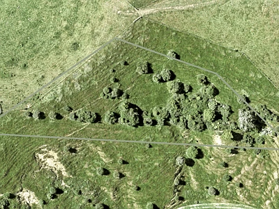 Rural  Rural Production Zone