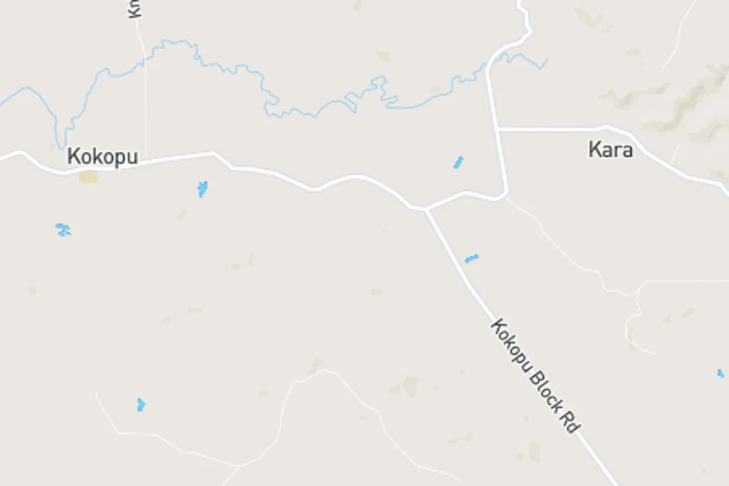 Kokopu