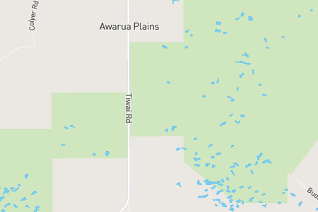 Awarua Plains