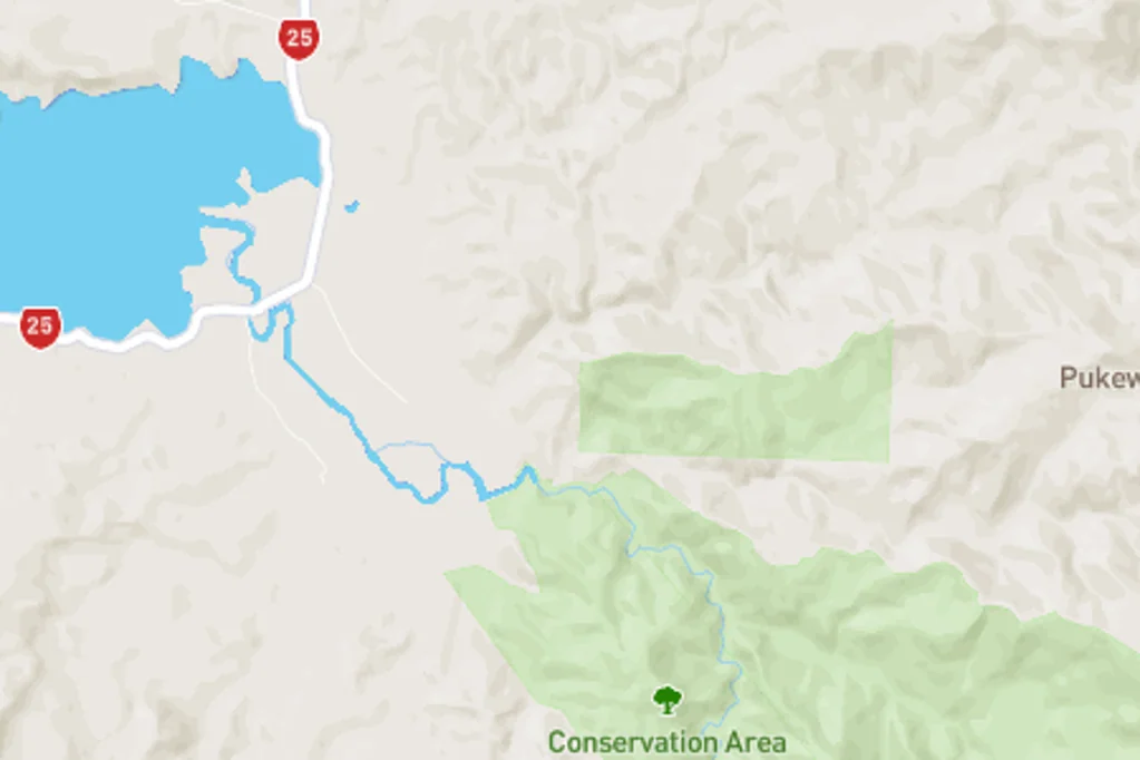 Manaia