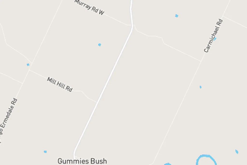 Gummies Bush